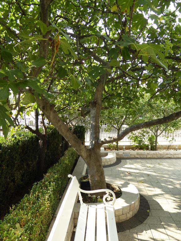 Apartments Bojanic Vodice Esterno foto